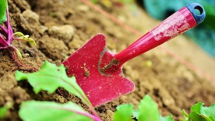 Opiniones de Centros de jardinería en Perú
