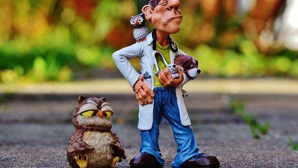 Opiniones de Veterinarios en Perú